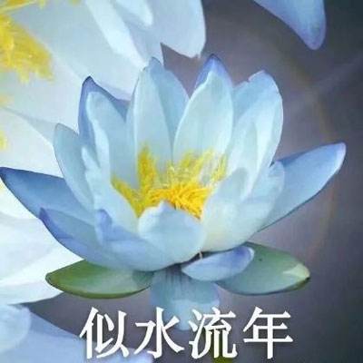 远古誓言手游下载