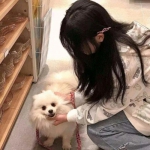 地牢求生gm版下载